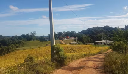 Terreno à Venda em Contenda, Serrinha