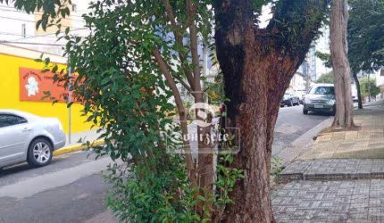 Terreno à venda, 400 m² por R$ 1.495.000,00 - Vila Gilda - Santo André/SP