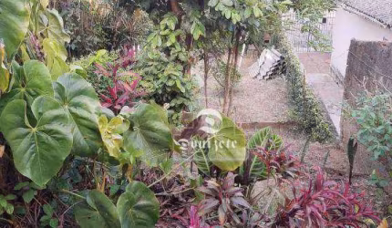 Terreno à venda, 291 m² por R$ 680.000,00 - Vila Curuçá - Santo André/SP