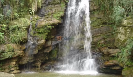 Fazenda a Venda em Piraju SP