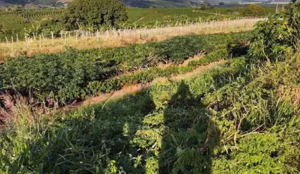 Propriedade Rural em Piraju - SP