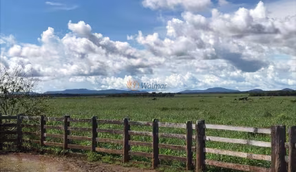 Extraordinária Fazenda à venda em Santa Terezinha, MT, 20.303,00 hectares.