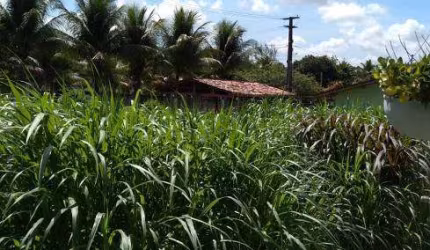 Granja para venda mobiliada possui 400 metros quadrados com 3 quartos em Centro - Conde - PB