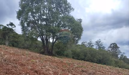 Terreno em Pedra Bela, SP 15490 m²