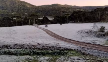 Área para Venda em Urubici, Vacas Gordas