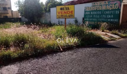 Terreno, 341 m² - venda por R$ 250.000,00 ou aluguel por R$ 1.550,00/mês - Vila Angélica - São José do Rio Preto/SP