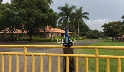 Sítio à venda, 84700 m² por R$ 3.990.000,00 - Zona Rural - Nhandeara/SP