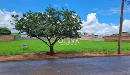 Terreno à venda, 1000 m² por R$ 160.000,00 - Residencial Imperial Park - Mirassol/SP
