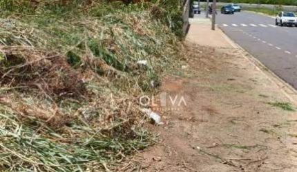 Terreno para alugar, 260 m² por R$ 1.300/mês - Jardim Maracanã - São José do Rio Preto/SP