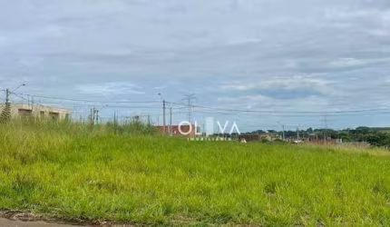 Terreno à venda, 220 m² por R$ 68.000,00 - Jardim dos Ipês - Bady Bassitt/SP