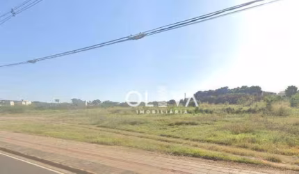 Área à venda, 34000 m² por R$ 68.000.000 - Jardim das Oliveiras - São José do Rio Preto/SP