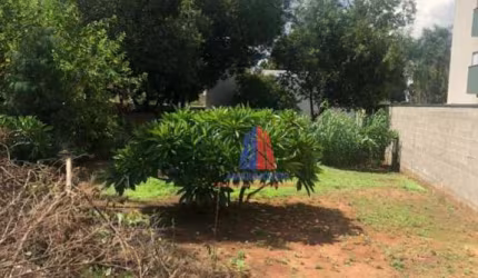 Terreno para alugar, 500 m² por R$ 1.500,00/mês - Vila Dainese - Santa Bárbara D'Oeste/SP