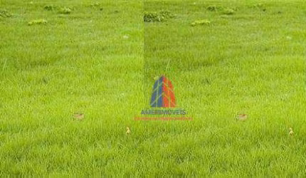 Terreno para alugar, 390 m² por R$ 1.300,00/mês - Vila Dainese - Americana/SP