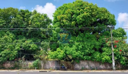 TERRENO para aluguel, Pindoba - AQUIRAZ/CE