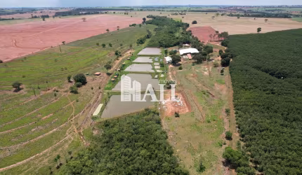 Fazenda, Centro, Mirassol - R$ 13.7 mi, Cod: 11876