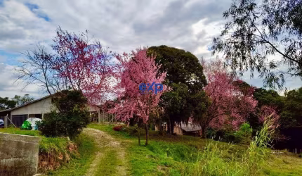 Terreno à venda na ..., São Pedro, Contenda por R$ 1.200.000