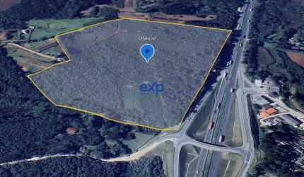 Terreno à venda na Rodovia BR-376, Campo Largo da Roseira, São José dos Pinhais por R$ 9.680.000
