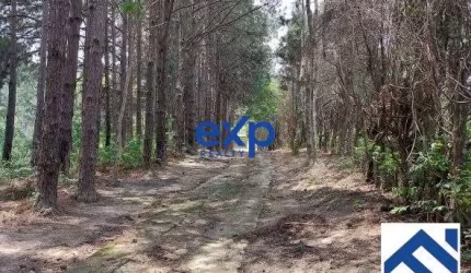 Chácara / sítio com 2 quartos à venda na Alameda das Águas, 1000, Olho D'Água, Mairiporã por R$ 2.200.000