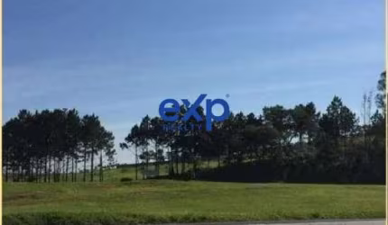 Terreno à venda na Rodovia Raposo Tavares, 1, Vila Artura, Sorocaba por R$ 3.900.000