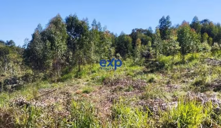 Chácara / sítio com 1 quarto à venda na Estrada Principal do Barco, 1, Zona Rural, Quitandinha por R$ 200.000
