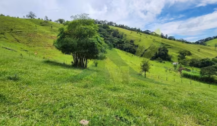 Sítio a venda em Piracaia  com 5 Alqueires