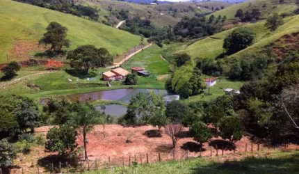 Fazenda de 48 Alqueires à Venda em Piracaia: Oportunidade Única
