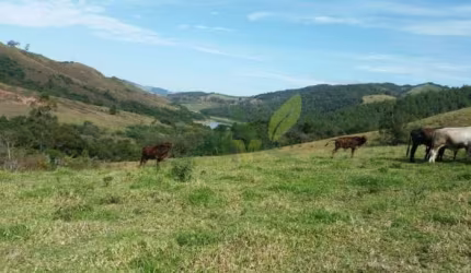 Sítio Tranquilo em Piracaia - 8 Alqueires com Vista para Represa