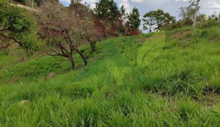 Excelente Oportunidade! Terreno à Venda no bairro Vitória Régia em Atibaia