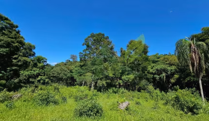 Sítio de 22 Alqueires em Piracaia, SP