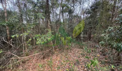 Terreno de 3.810 m² à Venda no Loteamento Maringá – Atibaia
