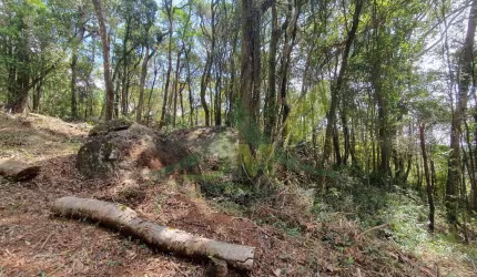 Terreno à Venda no Condomínio Clube da Montanha – Atibaia/SP