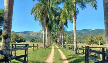 Fazenda para Gado de Leite ou Corte, 6.000.000 m2, Silva Jardim, RJ