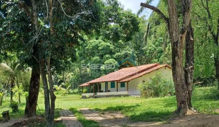 Fazenda 100 Alq. (4.800.400 m²) com Pastos para Gado, Rio, Silva Jardim, RJ