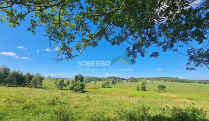 Fazenda 52 Alqueires (2.516.800 m2), 400 Cabeças, Água Abundante, Araruama, RJ