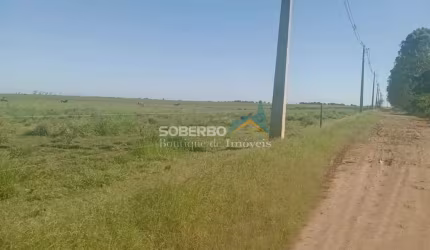 Fazenda para Gado c/ 130 Alqueires (629 ha), Campos - RJ
