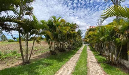 Chácara / sítio com 3 quartos à venda no Do Taboão, Mogi das Cruzes  por R$ 2.000.000