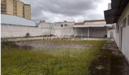 Amplo terreno livre na Vila Guilherme, com 1600m²,  todo murado, com banheiros.