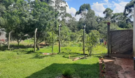 Terreno com 1.500m², possui 2 casas no terreno, poço artesiano, pomar.