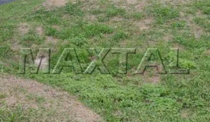 Terreno de 300m² no Condomínio Mirante do Horto. Pronto para Construir com Projeto e Alvará Aprovado