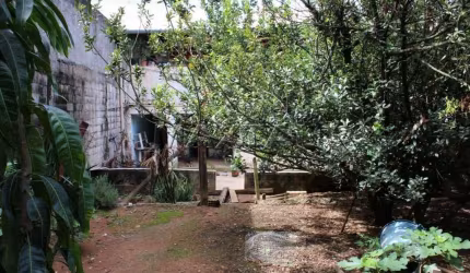 Casas, na Zona Norte, Bairro Jardim Alvina, com 5 Dormitórios, 5 Vagas de Garagem com 425m²..