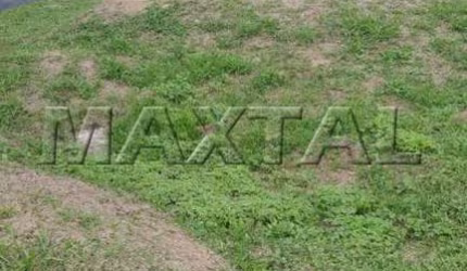 Terreno de 300m² no Condomínio Mirante do Horto. Pronto para Construir com Projeto e Alvará Aprovado