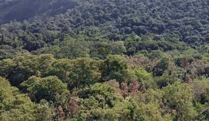 Apartamento com 3 quartos à venda na Estrada dos Bandeirantes, Camorim, Rio de Janeiro, 58 m2 por R$ 420.000