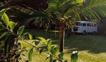 Terreno à venda, 5250 m² por R$ 2.660.000,00 - Ponta de Baixo - São José/SC