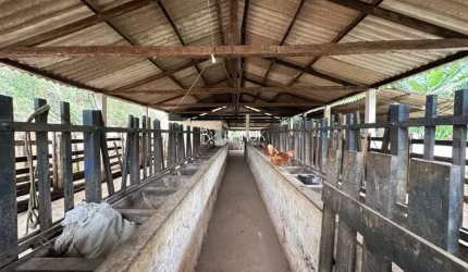 Fazenda de Luxo à Venda em Torreões-MG: 3 Quartos, 1 Suíte, 2 Salas, 4 Banheiros e 90 hectare  de Área