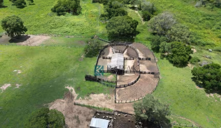 Fazenda com 4 dormitórios à venda, 18139836 m² por R$ 40.000.000,00 - Guaycurus - Miranda/MS