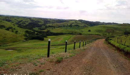 Fazenda à venda, 33 Alqueires por R$ 6.600.000 - Zona Rural - Palmital/PR