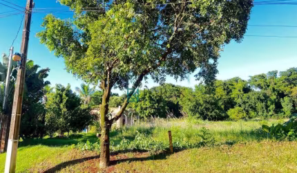 Terreno à venda, 1279 m² por R$ 220.000,00 - Condomínio Monte Carlo Residence - Floresta/PR