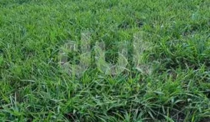 Terreno em condomínio fechado à venda na Rodovia Romildo Prado, km 10, Condomínio Villagio Paradiso, Itatiba por R$ 460.000