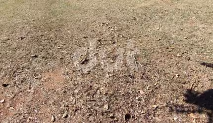 Terreno em condomínio fechado à venda na Rua Mariazinha Leite Campagnolli, 470, Parque Xangrilá, Campinas por R$ 890.000