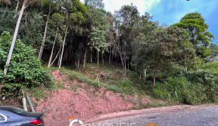 Terreno à venda, 420 m² por R$ 240.000,00 - Centro (Blumenau) - Blumenau/SC